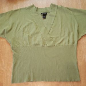 Lane Bryant Sage Sweater Size 18/20